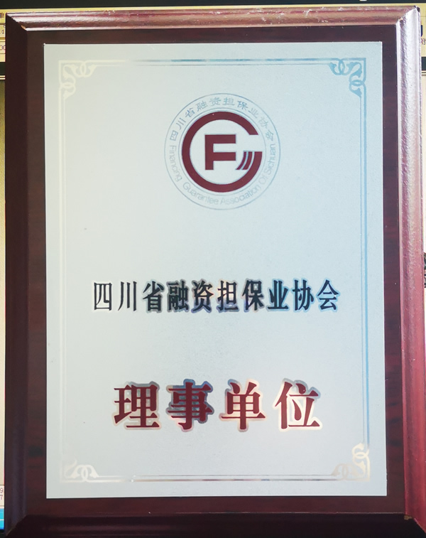 四川省融资担保业协会理事单位