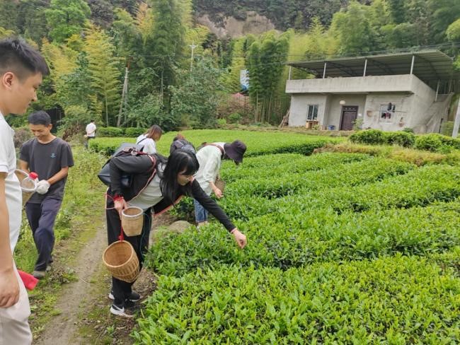 微信图片_20240418091617