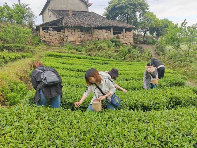 微信图片_20240418091620